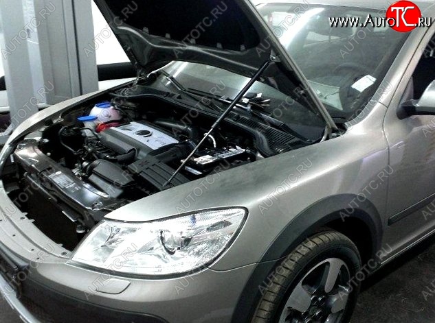 1 849 р. Газовый упор капота CT  Skoda Octavia  A5 (2004-2008) дорестайлинг лифтбэк, дорестайлинг универсал  с доставкой в г. Керчь