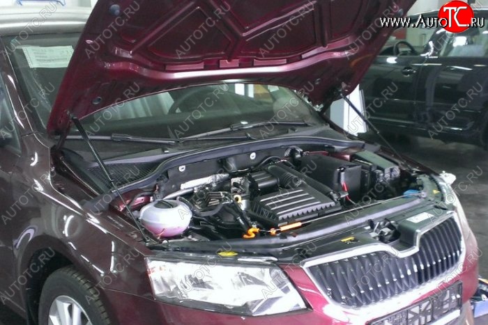 1 649 р. Газовые упоры капота Berkut Skoda Octavia A7 дорестайлинг универсал (2012-2017)  с доставкой в г. Керчь
