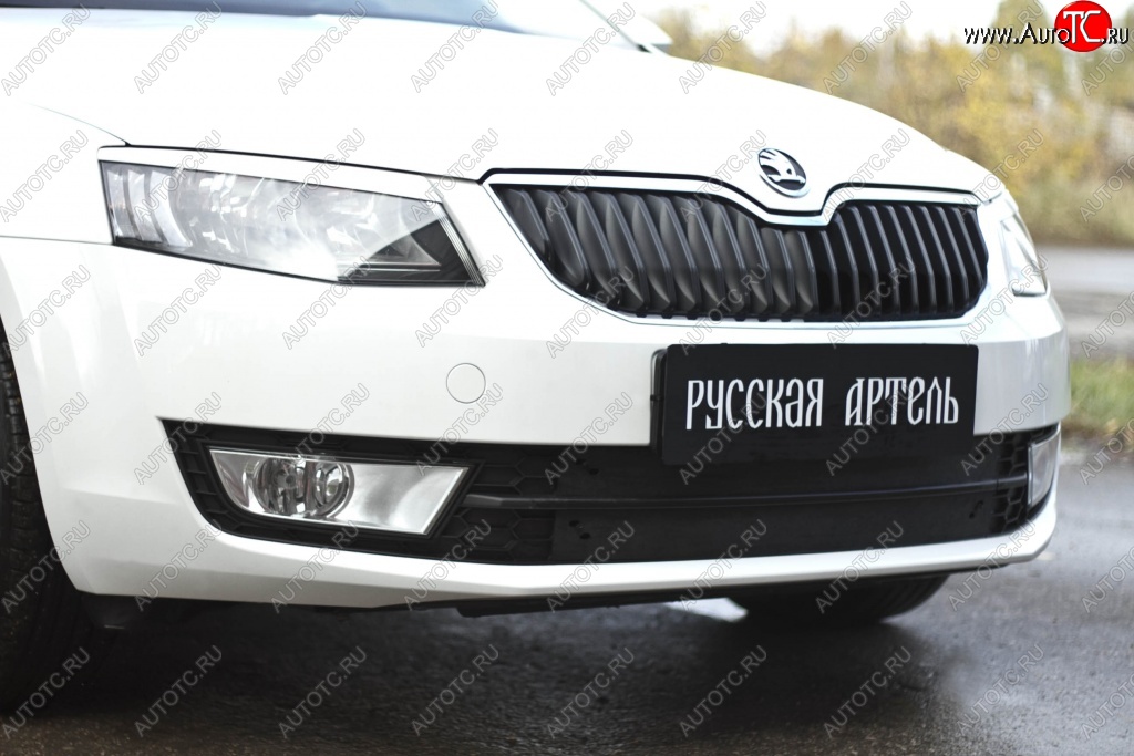 1 039 р. Зимняя заглушка решетки переднего бампера РА Skoda Octavia A7 рестайлинг универсал (2016-2020)  с доставкой в г. Керчь