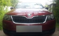 2 339 р. Сетка на бампер Russtal (черная) Skoda Rapid NH1 хэтчбэк дорестайлинг (2012-2017)  с доставкой в г. Керчь. Увеличить фотографию 2