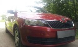 2 339 р. Сетка на бампер Russtal (черная) Skoda Rapid NH1 хэтчбэк дорестайлинг (2012-2017)  с доставкой в г. Керчь. Увеличить фотографию 3