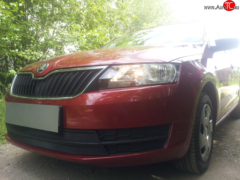 2 339 р. Сетка на бампер Russtal (черная) Skoda Rapid NH1 хэтчбэк дорестайлинг (2012-2017)  с доставкой в г. Керчь