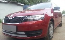 2 399 р. Сетка на бампер Russtal (хром) Skoda Rapid NH1 хэтчбэк дорестайлинг (2012-2017)  с доставкой в г. Керчь. Увеличить фотографию 4