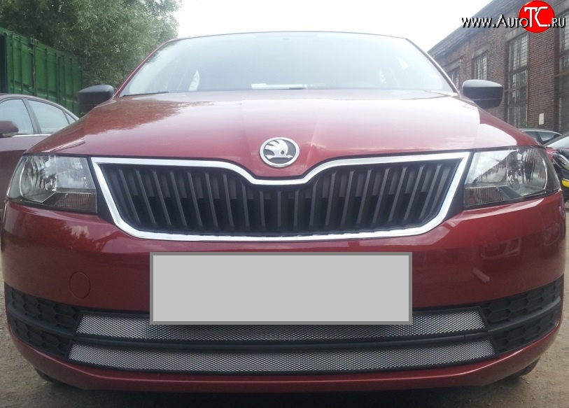 2 399 р. Сетка на бампер Russtal (хром) Skoda Rapid NH1 хэтчбэк дорестайлинг (2012-2017)  с доставкой в г. Керчь