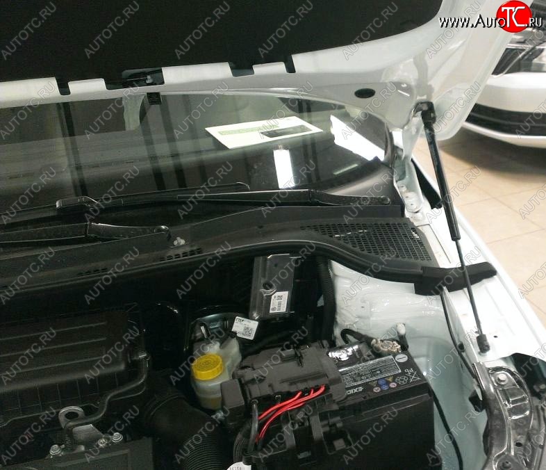 2 199 р. Газовые упоры капота Berkut Skoda Rapid NH3 дорестайлинг лифтбэк (2012-2017)  с доставкой в г. Керчь