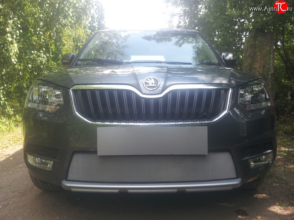1 539 р. Сетка на бампер City Russtal (хром) Skoda Yeti (2013-2018)  с доставкой в г. Керчь