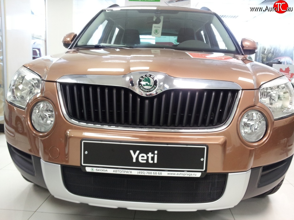 1 469 р. Сетка на бампер Russtal (черная) Skoda Yeti (2009-2013)  с доставкой в г. Керчь