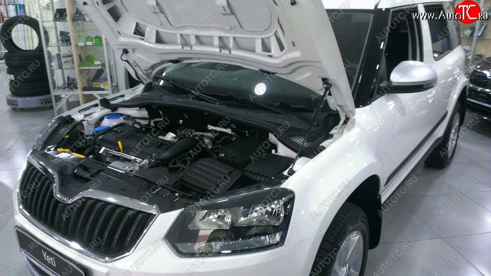 2 199 р. Газовый упор капота Berkut Skoda Yeti (2009-2013)  с доставкой в г. Керчь
