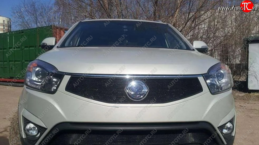 1 469 р. Защитная сетка в решетку радиатора Russtal SSANGYONG Actyon рестайлинг (2013-2021)  с доставкой в г. Керчь