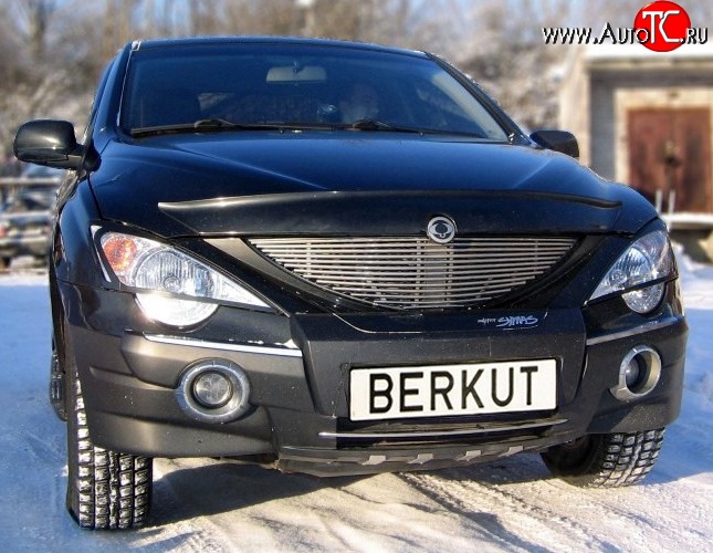 5 999 р. Декоративная вставка решетки радиатора Berkut SSANGYONG Actyon Sport (2006-2011)  с доставкой в г. Керчь