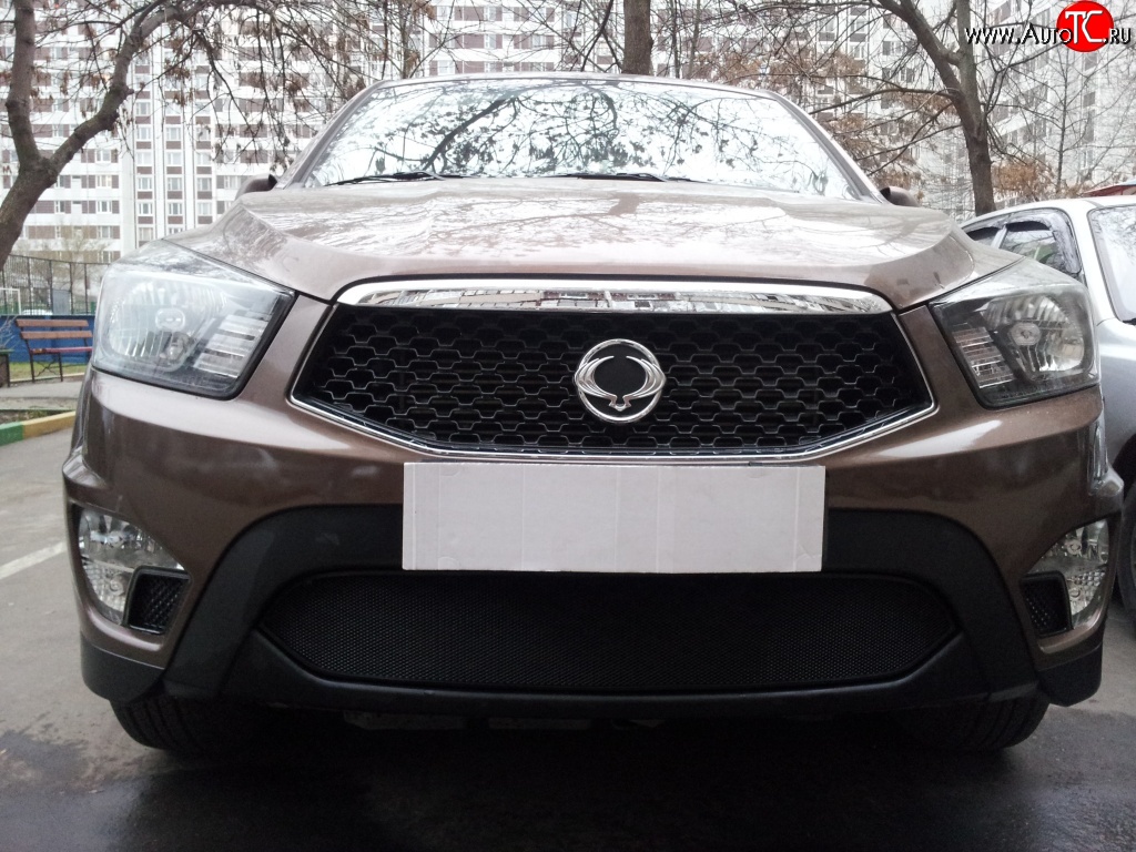1 469 р. Сетка на бампер Russtal (черная) SSANGYONG Actyon Sport (2012-2025)  с доставкой в г. Керчь