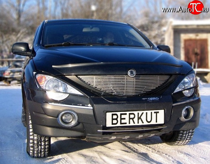 5 999 р. Декоративная вставка решетки радиатора Berkut SSANGYONG Actyon 1 (2006-2010)  с доставкой в г. Керчь