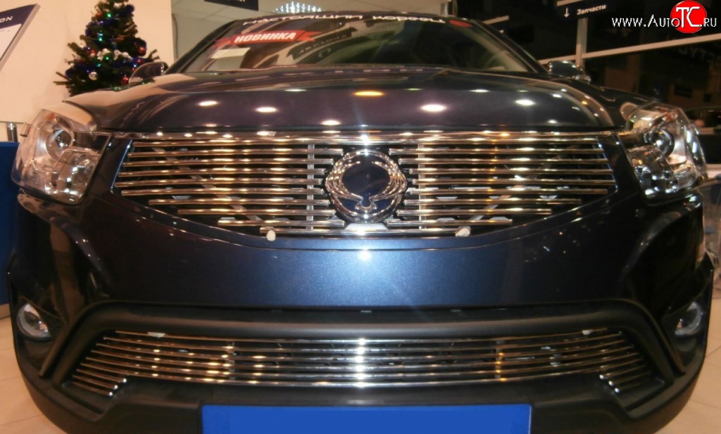 5 799 р. Декоративная вставка решетки радиатора Berkut SSANGYONG Actyon рестайлинг (2013-2021)  с доставкой в г. Керчь