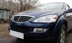 1 469 р. Сетка на бампер Russtal (черная) SSANGYONG Kyron дорестайлинг (2005-2007)  с доставкой в г. Керчь. Увеличить фотографию 3
