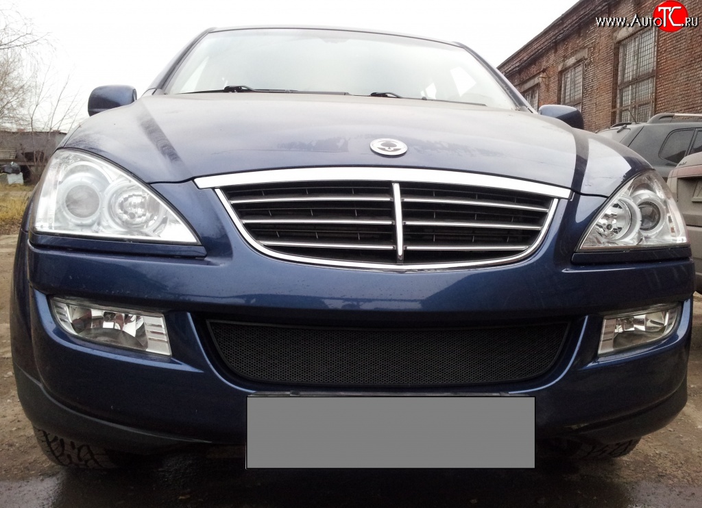 1 469 р. Сетка на бампер Russtal (черная) SSANGYONG Kyron дорестайлинг (2005-2007)  с доставкой в г. Керчь
