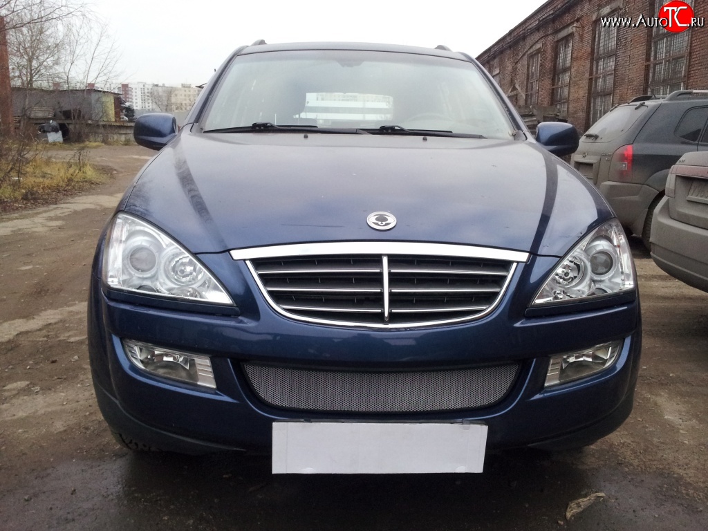 1 539 р. Сетка на бампер Russtal (хром) SSANGYONG Kyron дорестайлинг (2005-2007)  с доставкой в г. Керчь