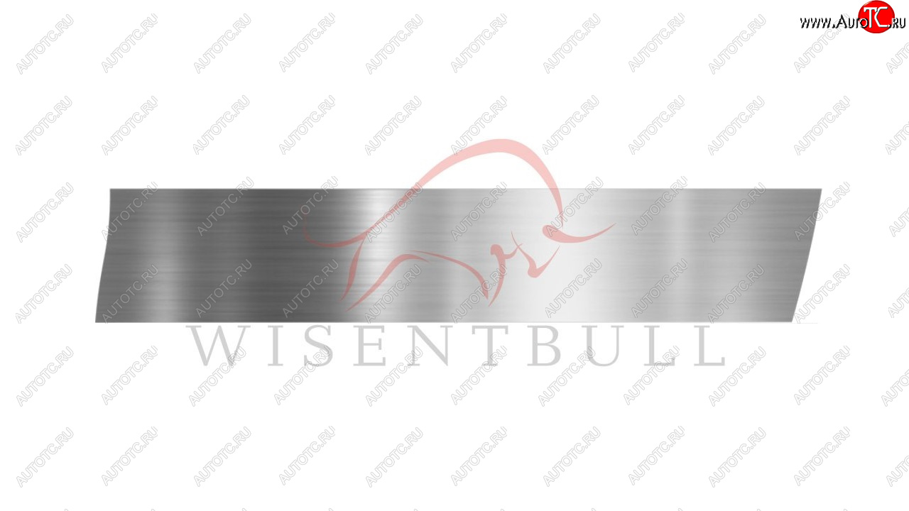 1 989 р. Ремкомплект правой двери Wisentbull Toyota Sprinter Carib (1997-2001)  с доставкой в г. Керчь