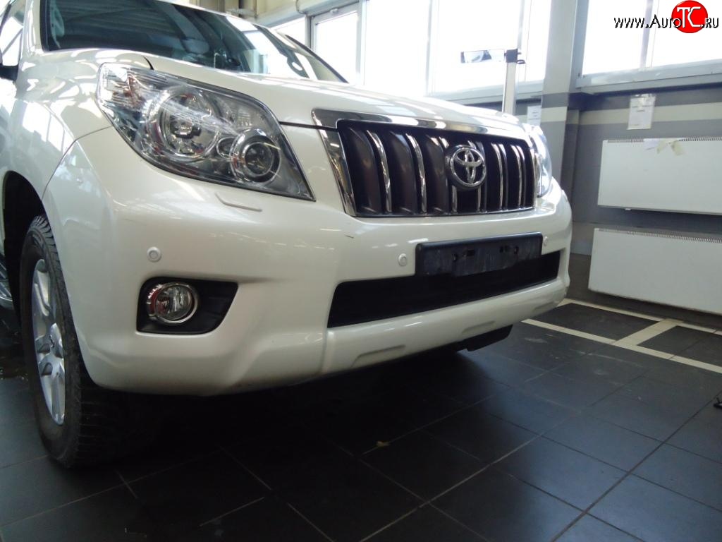1 469 р. Сетка на бампер Russtal (черная) Toyota Land Cruiser Prado J150 дорестайлинг (2009-2013)  с доставкой в г. Керчь
