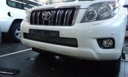1 539 р. Сетка на бампер Russtal (хром) Toyota Land Cruiser Prado J150 дорестайлинг (2009-2013)  с доставкой в г. Керчь. Увеличить фотографию 2