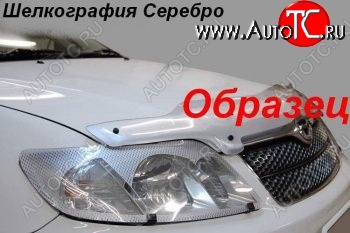 2 299 р. Защита фар CA-Plastiс  Toyota Noah  1 (2001-2007) дорестайлинг, рестайлинг (Шелкография серебро)  с доставкой в г. Керчь
