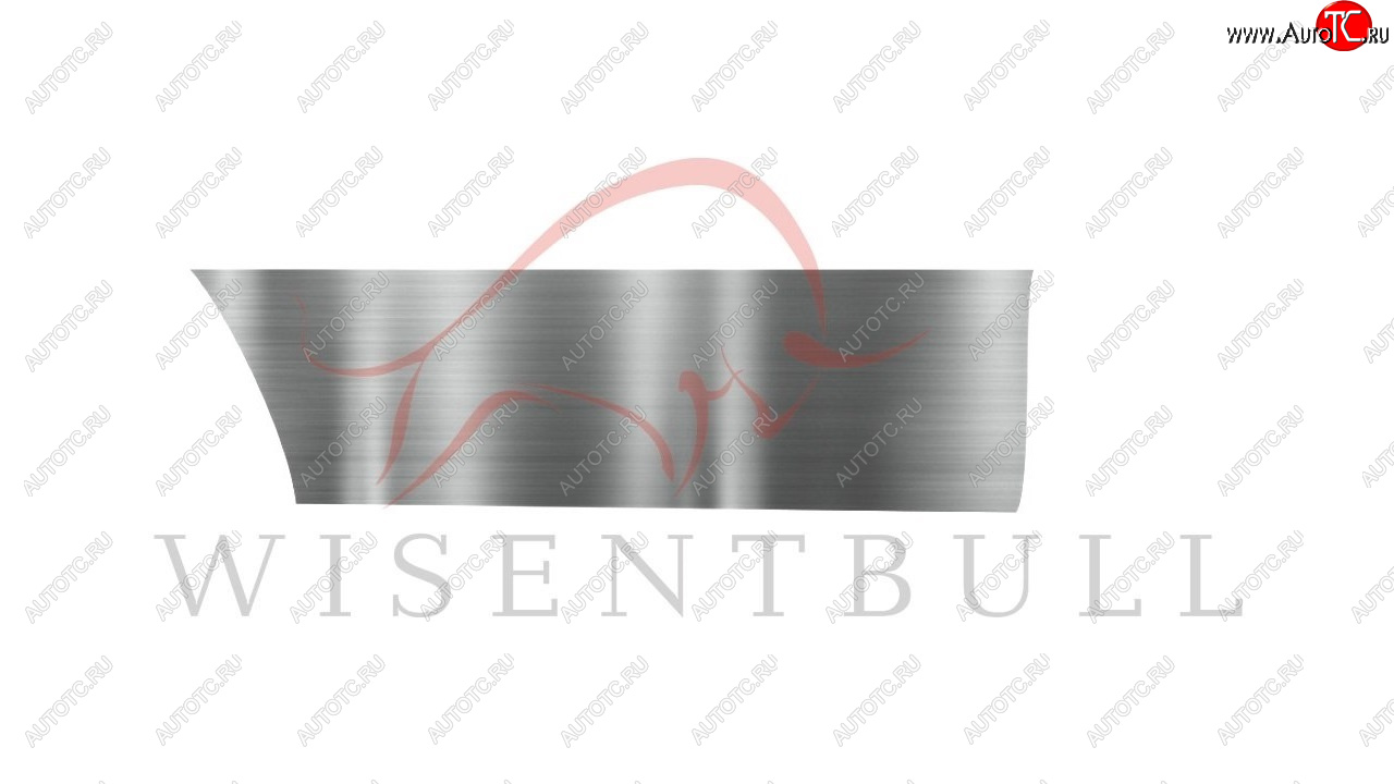 1 989 р. Ремкомплект правой двери Wisentbull  Toyota Opa (2000-2005)  с доставкой в г. Керчь