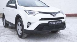 1 969 р. Защитная сетка решетки переднего бампера РА  Toyota RAV4  XA40 (2015-2019) 5 дв. рестайлинг  с доставкой в г. Керчь. Увеличить фотографию 2