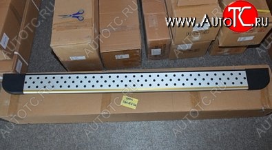 13 399 р. Пороги для ног BMW Style (короткая база) Toyota RAV4 XA30 5 дв. 2-ой рестайлинг (2010-2013)  с доставкой в г. Керчь