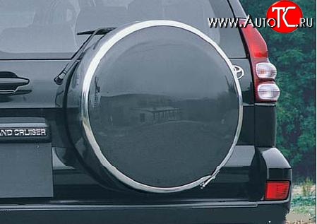 6 499 р. Бокс запасного колеса Ралекс-Тюнинг Toyota RAV4 CA20 5 дв. дорестайлинг (2000-2003) (215/65R16, Тарелочка неокрашенная)  с доставкой в г. Керчь