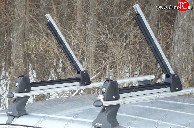 2 349 р. Крепление для 3 комплектов лыж или 2 сноубордов Amos Ski Lock 3 Mercedes-Benz Citan W415 (2012-2019) (Цвет: серебристый)  с доставкой в г. Керчь