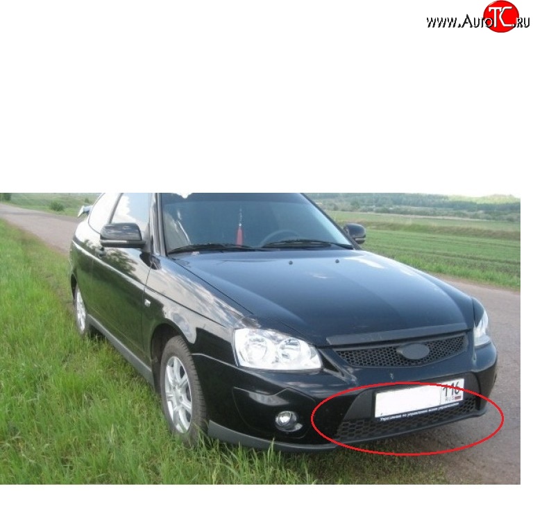 439 р. Решетка бампера 21728 Priora Sport нижняя Лада Приора 2172 хэтчбек дорестайлинг (2008-2014)  с доставкой в г. Керчь