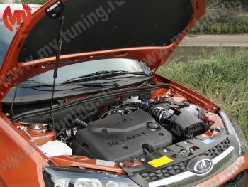 Упор капота MV-Tuning (одинарный; без кронштейна) ВИС 2349 ( бортовой,  фургон,) (2012-2025), Лада Гранта ( 2190,  2191) (2011-2017), Лада Гранта FL ( 2191,  2190,  2194,  2192) (2018-2025), Лада Гранта Спорт ( 2191,  2190) (2023-2025), Лада Калина ( 2192,  2194) (2013-2018), Лада Калина Спорт  2192 (2014-2018)
