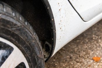 3 999 р. Защитные накладки на арки ArtForm Лада Веста SW 2181 универсал дорестайлинг (2017-2022) (Поверхность: шагрень)  с доставкой в г. Керчь. Увеличить фотографию 3