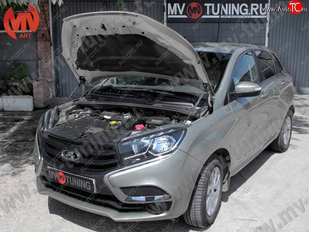 4 099 р. Упор капота MV-Tuning (двойной) Лада XRAY (2016-2022)  с доставкой в г. Керчь