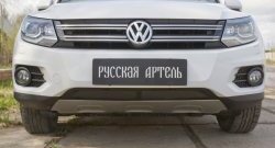 1 699 р. Защитная сетка решетки переднего бампера (Track & Field) РА Volkswagen Tiguan NF рестайлинг (2011-2017)  с доставкой в г. Керчь. Увеличить фотографию 2