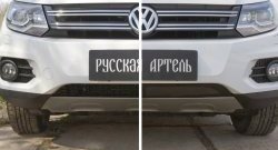 1 699 р. Защитная сетка решетки переднего бампера (Track & Field) РА Volkswagen Tiguan NF рестайлинг (2011-2017)  с доставкой в г. Керчь. Увеличить фотографию 4