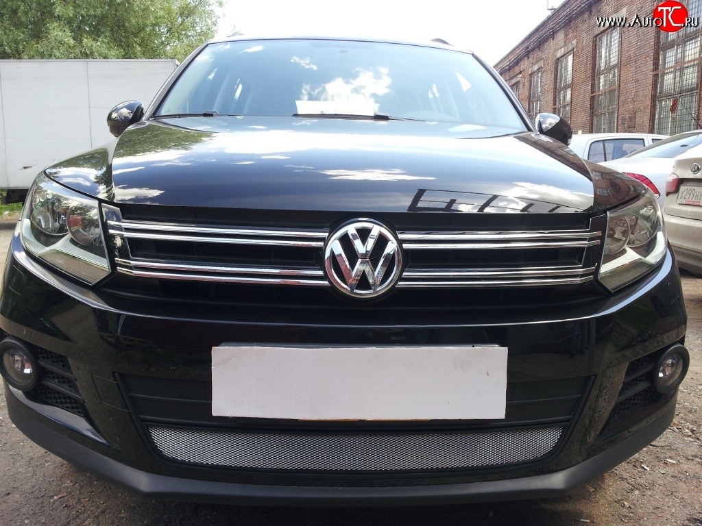 1 539 р. Сетка на бампер Sport&Style Russtal (хром) Volkswagen Tiguan NF рестайлинг (2011-2017)  с доставкой в г. Керчь