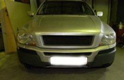 3 449 р. Реснички на фары INDIVIDUAL Volvo XC90 C 1-ый рестайлинг (2006-2009) (Неокрашенные)  с доставкой в г. Керчь. Увеличить фотографию 3